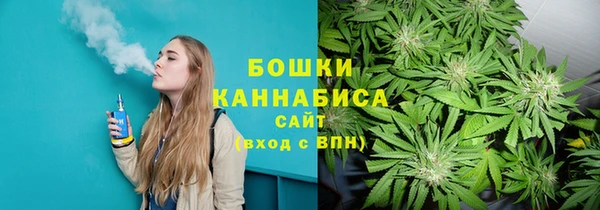 PSILOCYBIN Бугульма